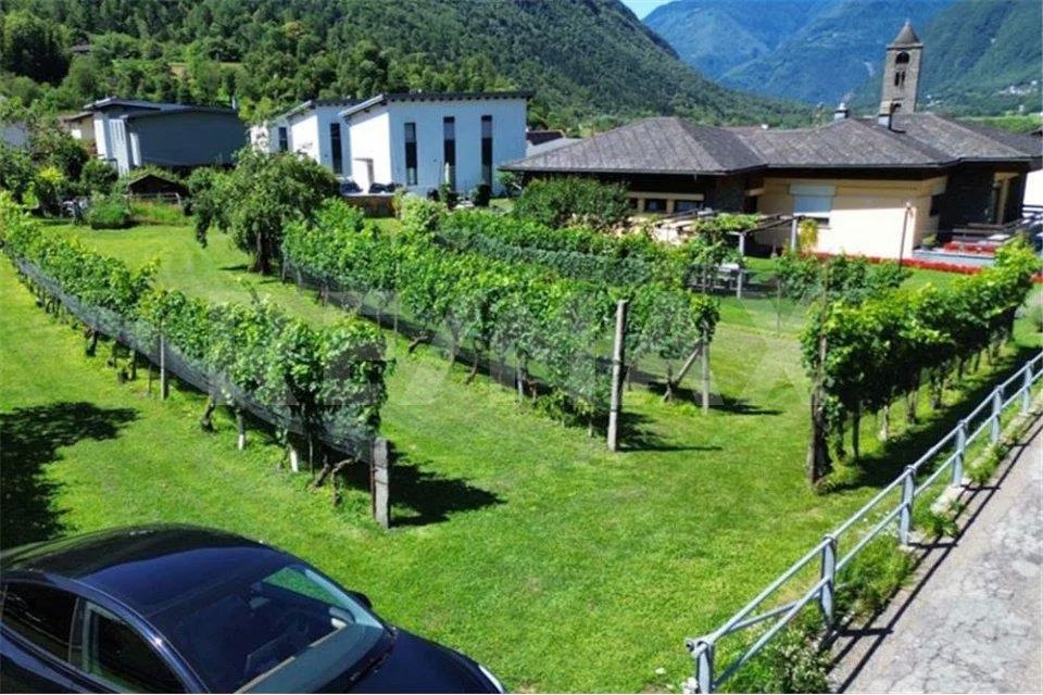 Terreno edificabile in zona residenziale esclusiva a Roveredo (GR)