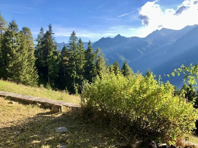4 1/2-Zimmer-Rustico an Alleinlage, sehr sonnige, ruhige Aussichtsl... – Foto 19 von 24