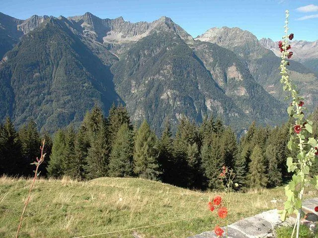 4 1/2-Zimmer-Rustico an Alleinlage, sehr sonnige, ruhige Aussichtsl... – Foto 17 von 24