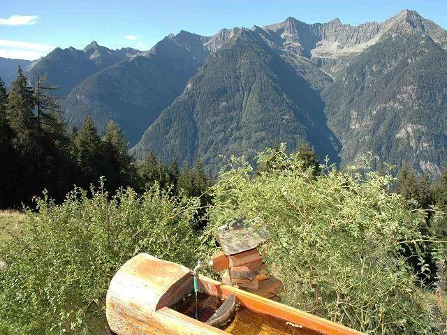 4 1/2-Zimmer-Rustico an Alleinlage, sehr sonnige, ruhige Aussichtsl... – Foto 18 von 24