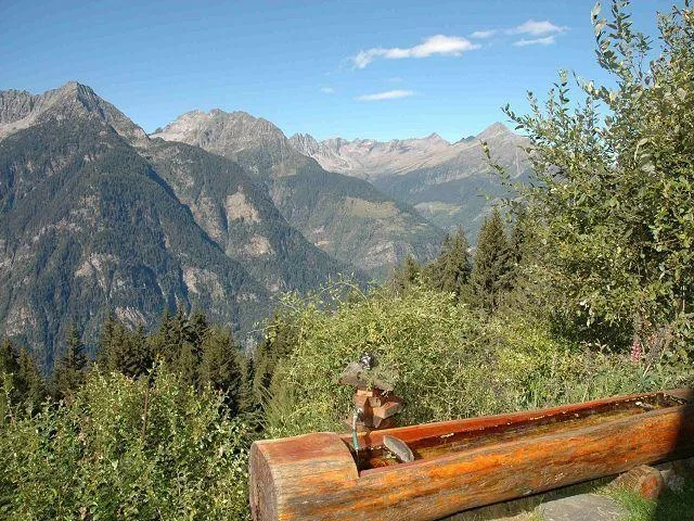 4 1/2-Zimmer-Rustico an Alleinlage, sehr sonnige, ruhige Aussichtsl... – Foto 16 von 24