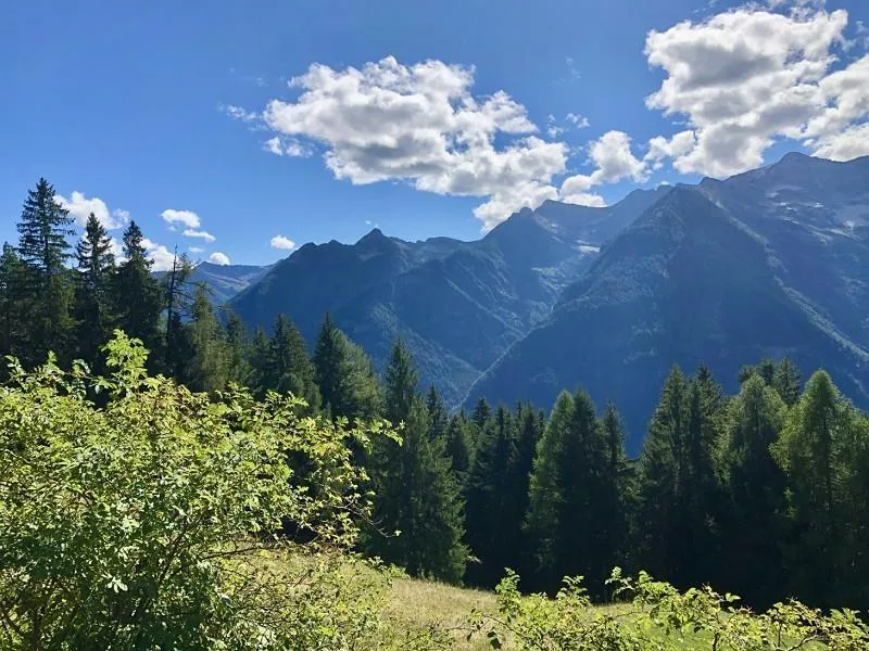 4 1/2-Zimmer-Rustico an Alleinlage, sehr sonnige, ruhige Aussichtsl... – Foto 20 von 24