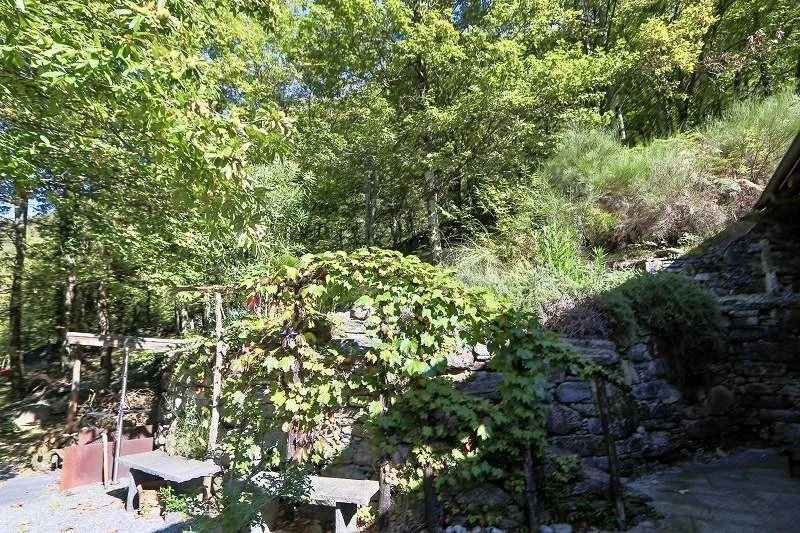 3 1/2-Zimmer-Rustico an sehr ruhiger, sonniger Aussichtslage / rust... – Foto 25 von 29