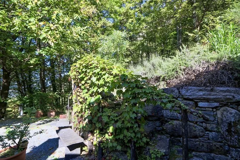 3 1/2-Zimmer-Rustico an sehr ruhiger, sonniger Aussichtslage / rust... – Foto 24 von 29
