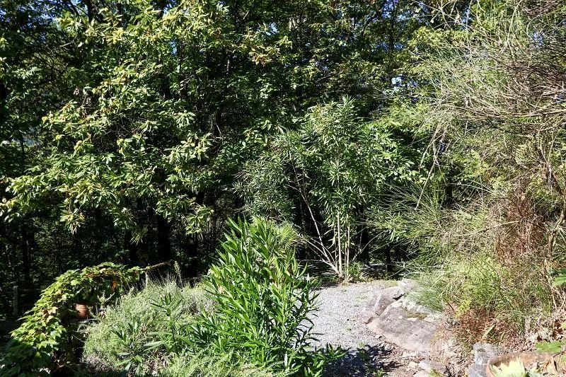 3 1/2-Zimmer-Rustico an sehr ruhiger, sonniger Aussichtslage / rust... – Foto 26 von 29