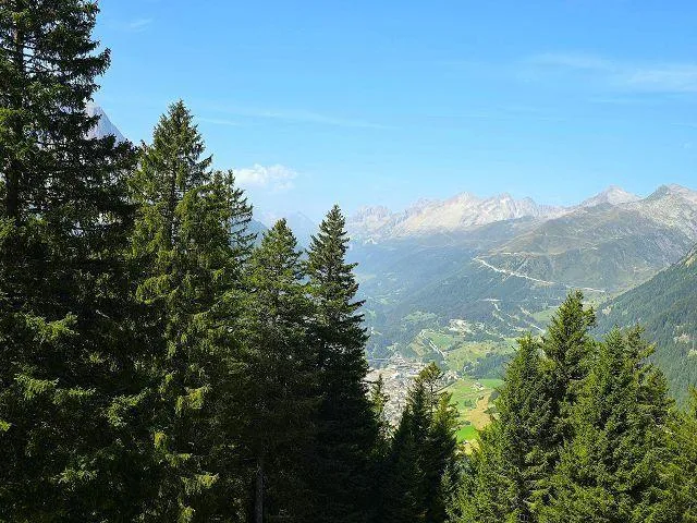 31/2-Zimmer-Rustico an sehr ruhiger, sonniger Aussichtslage mit vie... – foto 29 di 30