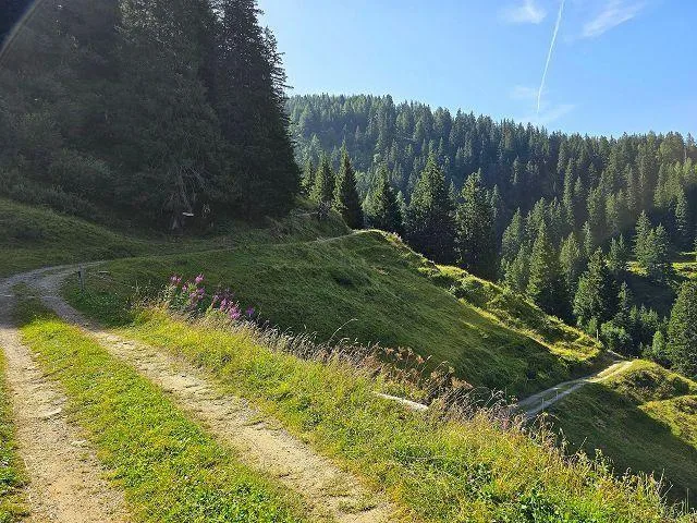 31/2-Zimmer-Rustico an sehr ruhiger, sonniger Aussichtslage mit vie... – foto 27 di 30