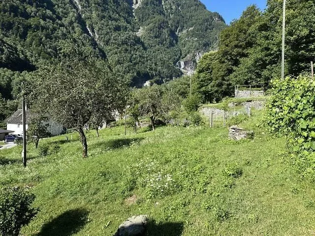 grosses Anwesen mit viel Wiese und Wald an sehr sonniger, ruhiger A... – photo 25 sur 30