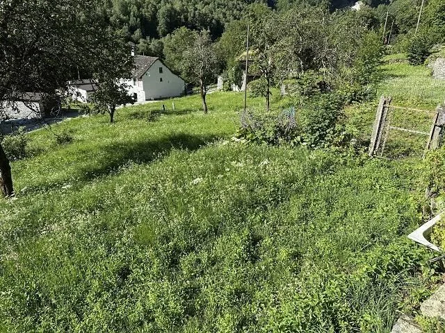 grosses Anwesen mit viel Wiese und Wald an sehr sonniger, ruhiger A... – photo 24 sur 30