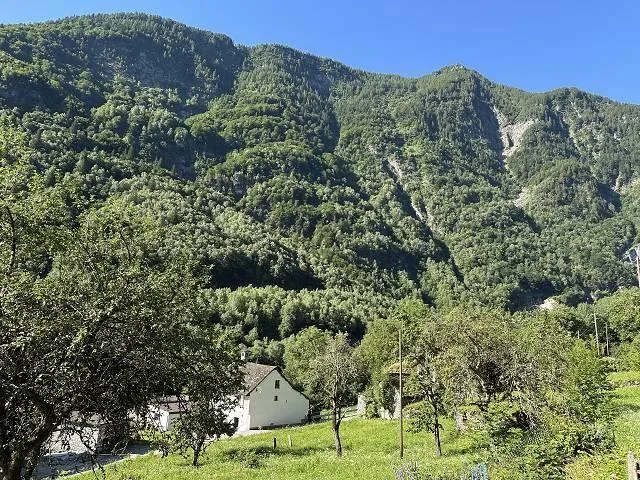 grosses Anwesen mit viel Wiese und Wald an sehr sonniger, ruhiger A... – photo 18 sur 30