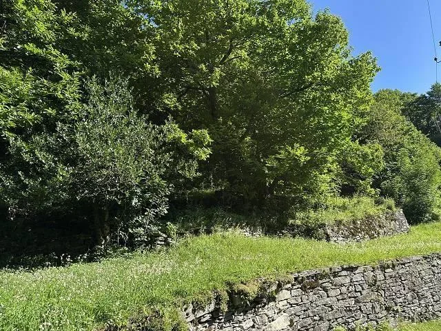 grosses Anwesen mit viel Wiese und Wald an sehr sonniger, ruhiger A... – Foto 23 von 30