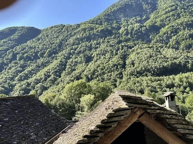 grosses Anwesen mit viel Wiese und Wald an sehr sonniger, ruhiger A... – Foto 19 von 30