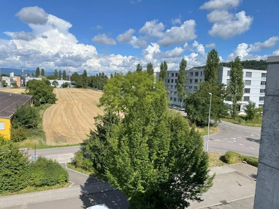 Renovierte & helle 3.5 Zimmer - Eigentumswohnung im 3. OG