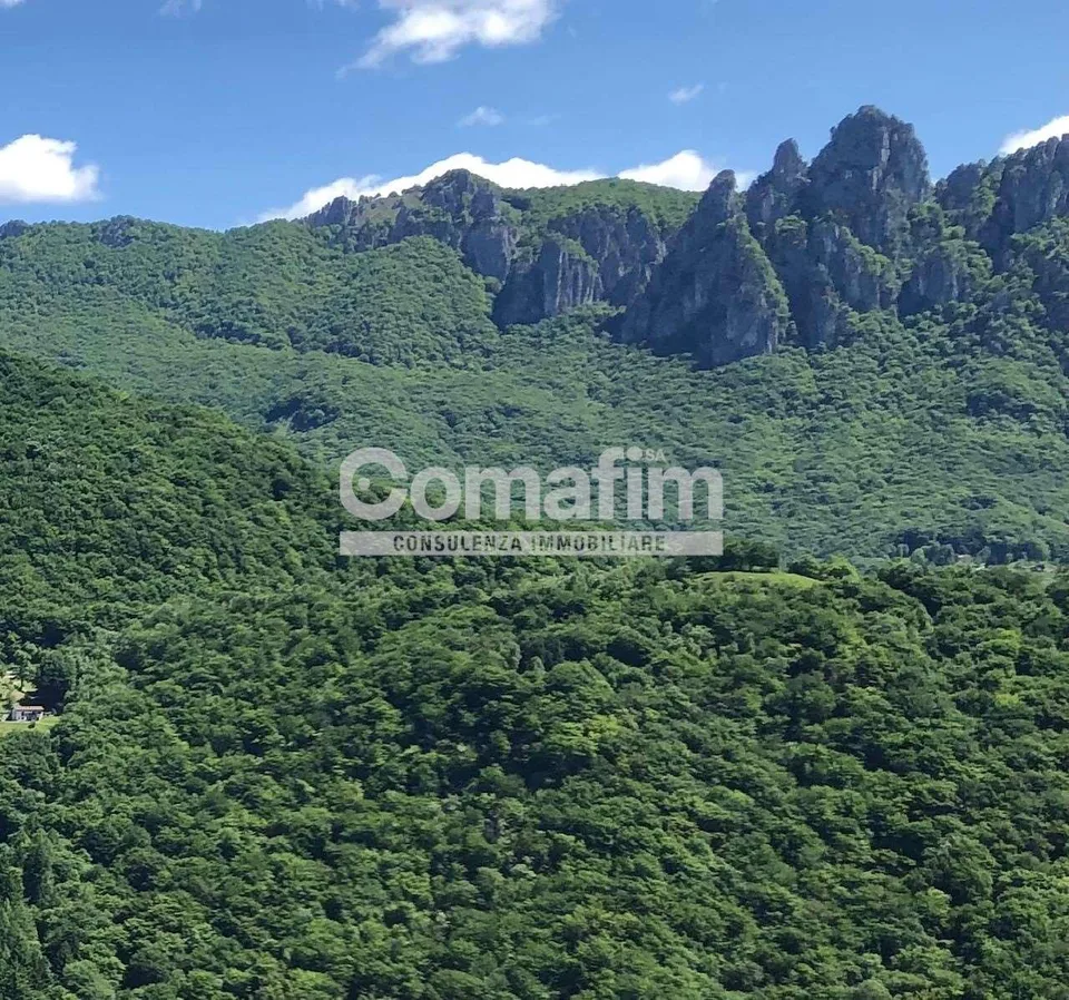 Casa con vista mozzafiato sui Denti della Vecchia - Bidogno – Foto 7 von 13