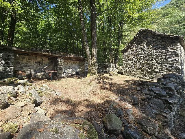 Drei Rustici zum Ausbauen mit viel Land sehr ruhige, sonnige Lage /... – Foto 11 von 29