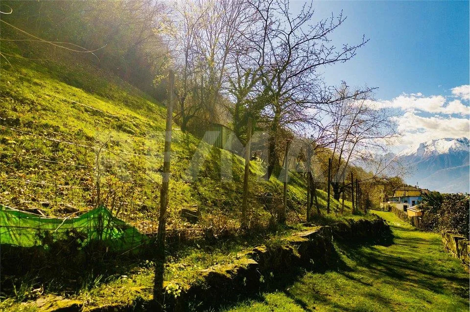 Terreno edificabile con vista – Foto 9 von 12