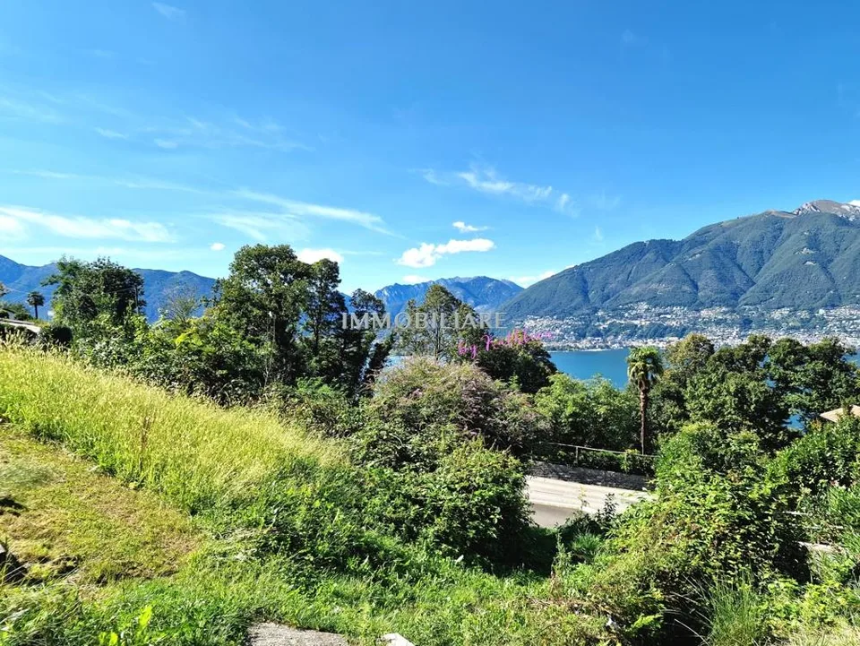 Hausprojekt mit Seeblick in Vira / Gambarogno
