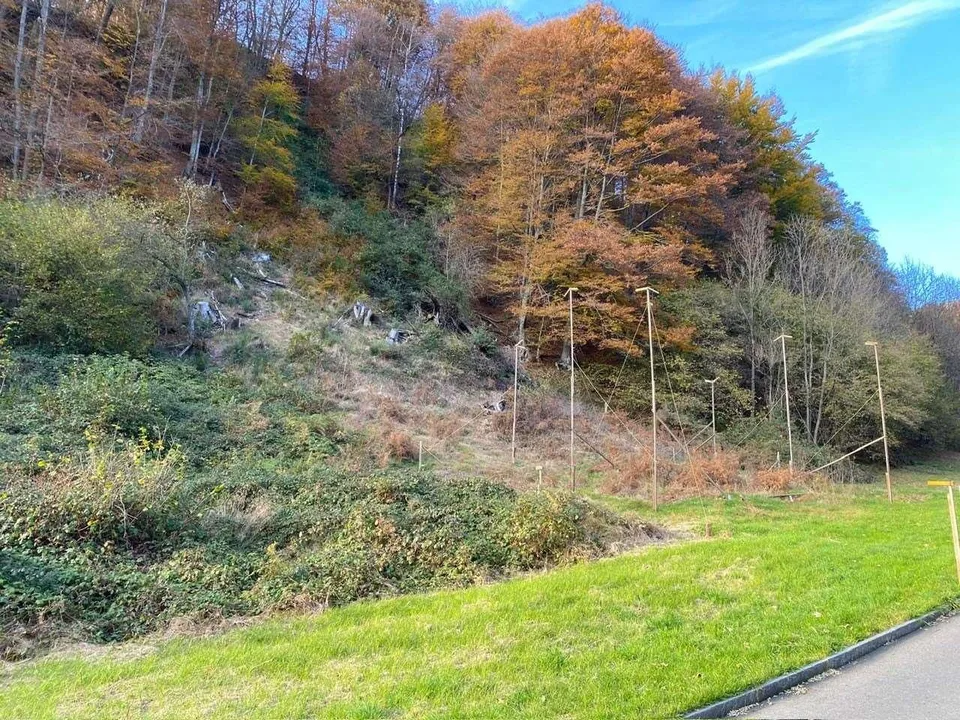 Terreno edificabile a Maglio di Colla
