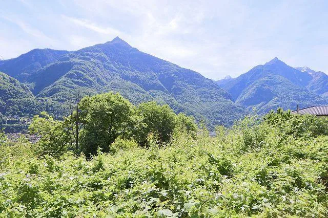 Bauland von 914 m2 an sehr ruhiger, sonniger Aussichtslage / terren...