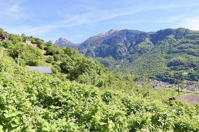 Bauland von 914 m2 an sehr ruhiger, sonniger Aussichtslage / terren...