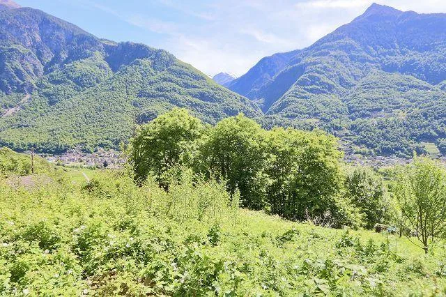 Bauland von 914 m2 an sehr ruhiger, sonniger Aussichtslage / terren...