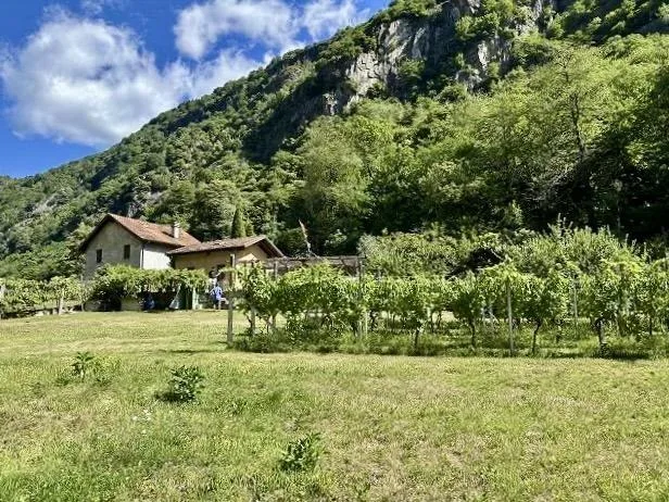 2-Zimmer-Haus mit Rebberg und Wiese / casetta di 2 locali con vigne... – photo 18 sur 21