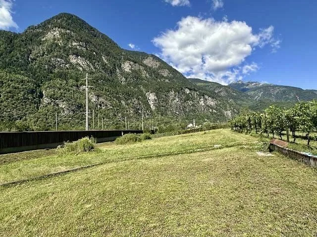 Bauland von 925 m2 und Liegenschaft mit Häuschen, Rebberg und Wiese...