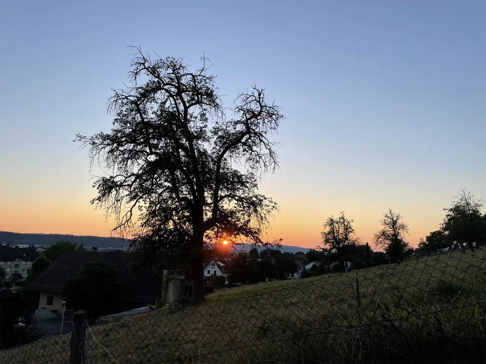 Bauland an bester Lage in Zufikon