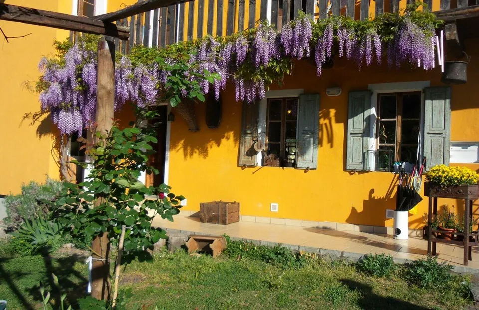 Bed & Breakfast - Immobile con terreno