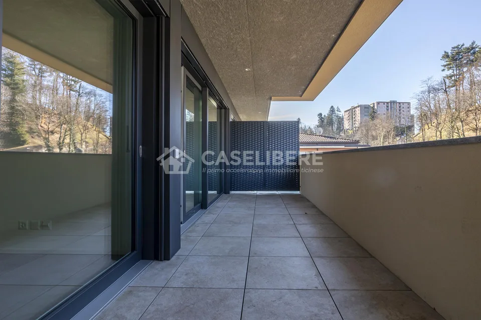NEW AND ELEGANT 2.5 ROOMS IN DAVESCO – photo 8 of 14