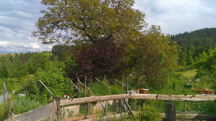 Bauernhaus mit Pferdestall
