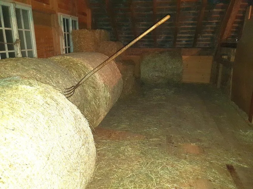 Bauernhaus mit Pferdestall