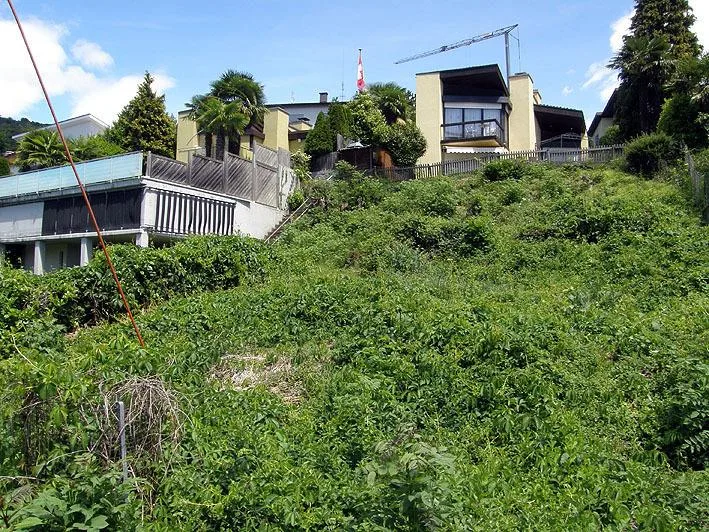 LUGANO-SONVICO Terreno edificabile