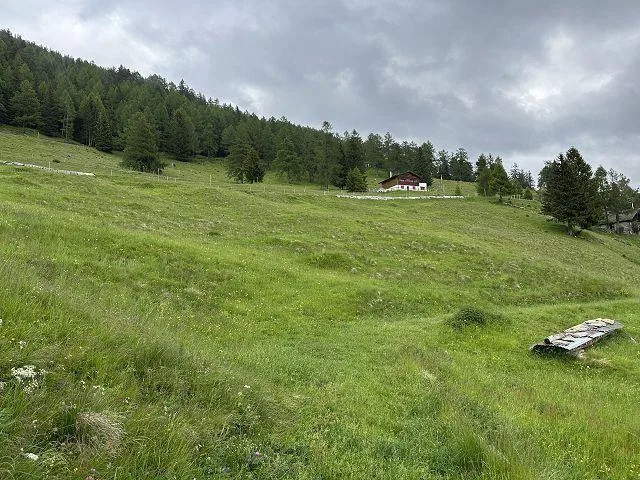 Chalet zum Ausbauen mit grosser Wiesenfläche sehr ruhig und sonnig ... – photo 21 sur 27