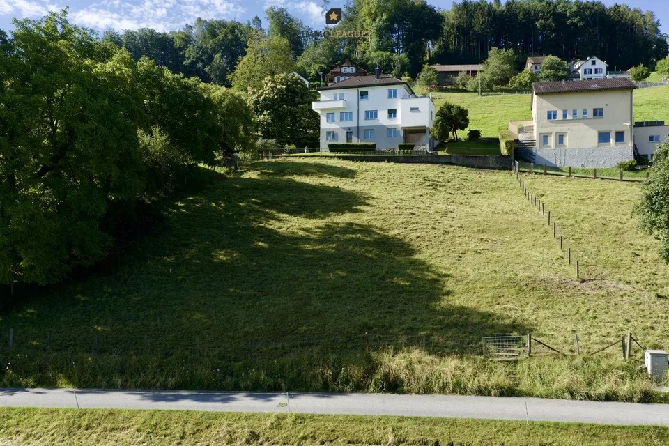 Grosszügiges Baugrundstück mit Seesicht.