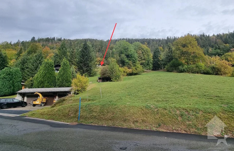 Torgon, terrain à bâtir avec permis de construire en force