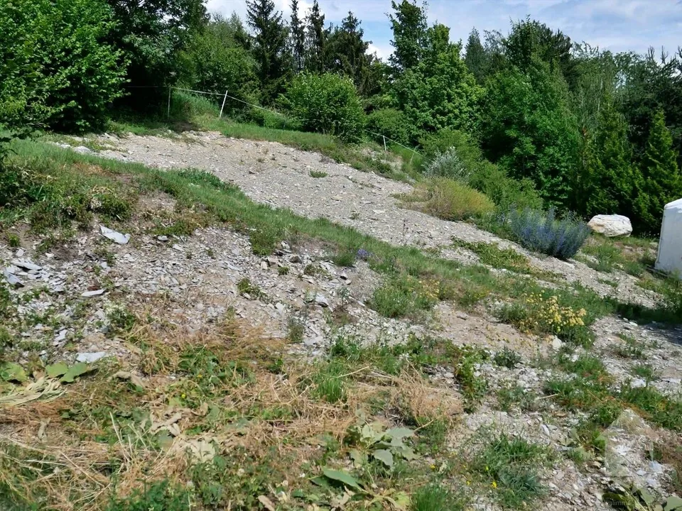 Belle parcelle de 589 m2 avec vue imprenable sur les alpes Valaisanne