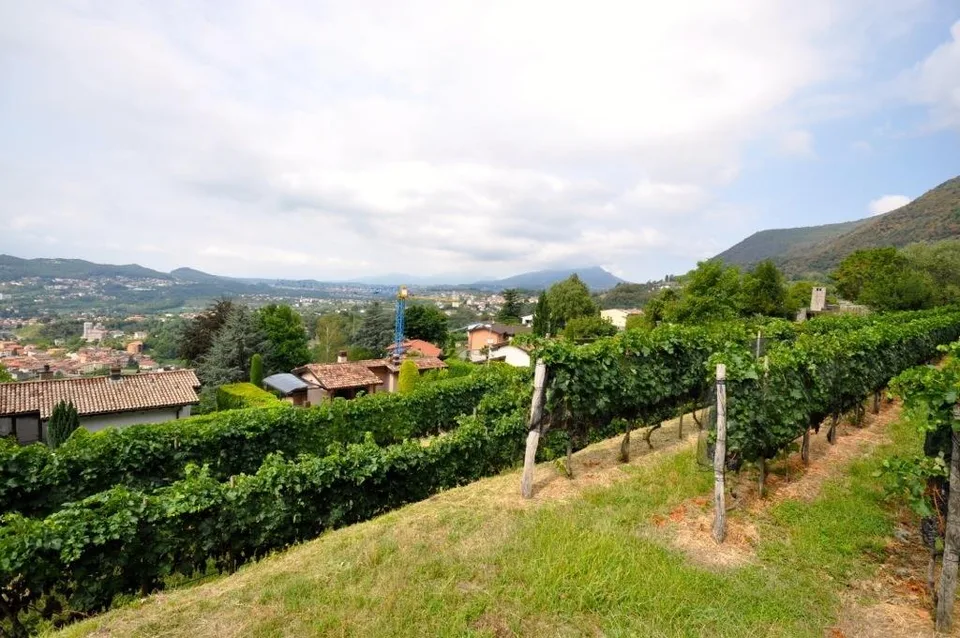 Terreno Edificabile 2'283 mq con Vista Panoramica a Morbio Superiore – Foto 8 von 10