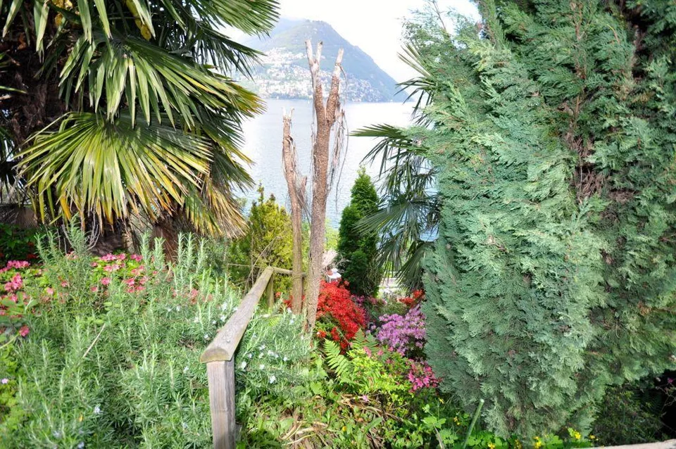 2.5 Zimmer Villa in Paradiso – Foto 6 von 9