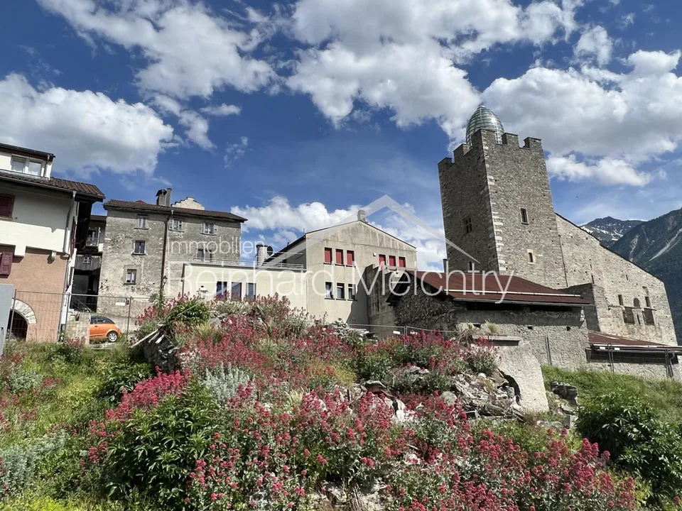 Historisches Wohnhaus mit 3 Wohnungen mit Blick auf das Leuker Schloss