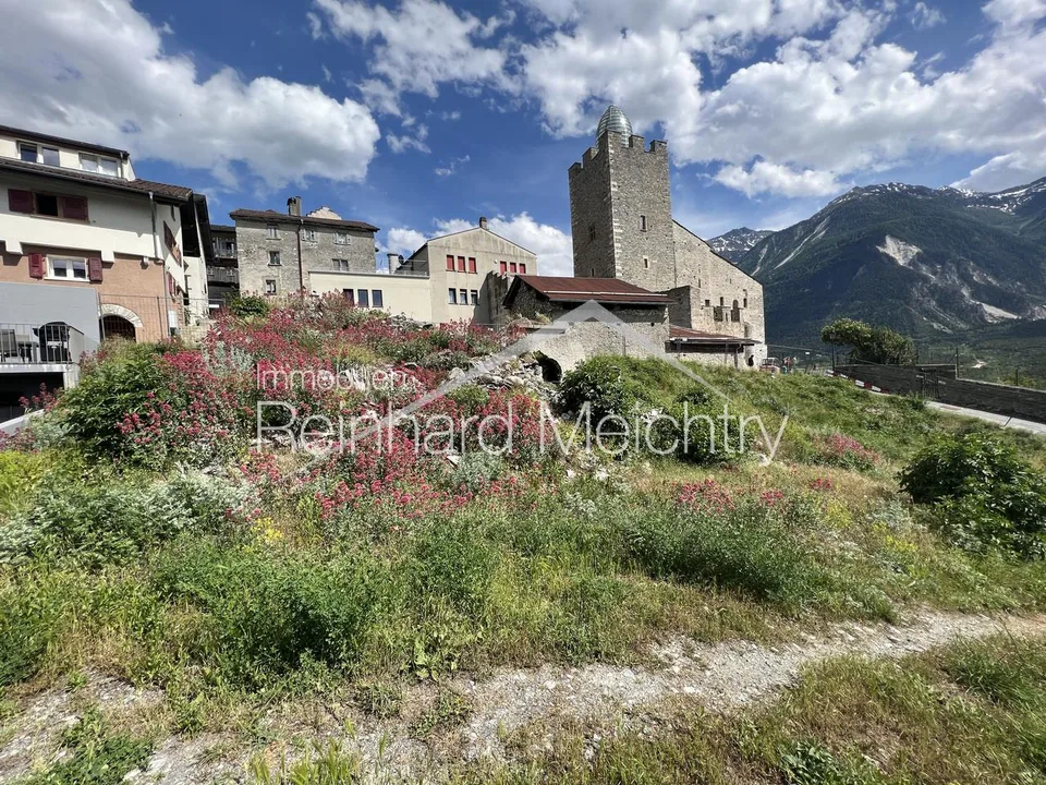 Historisches Wohnhaus mit 3 Wohnungen mit Blick auf das Leuker Schloss