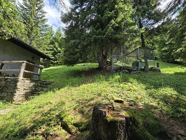 Bel chalet di 3,5 loc. immerso nella natura molto soleggiata, tranq... – photo 29 of 30
