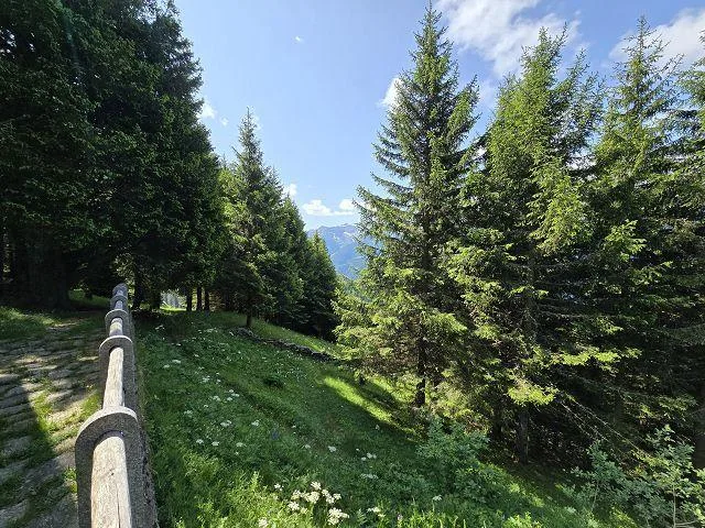 Bel chalet di 3,5 loc. immerso nella natura molto soleggiata, tranq... – photo 26 of 30