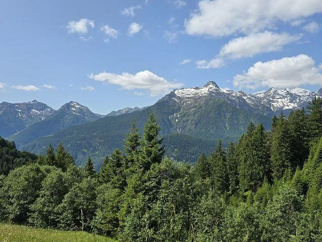 Bel chalet di 3,5 loc. immerso nella natura molto soleggiata, tranq... – photo 25 of 30