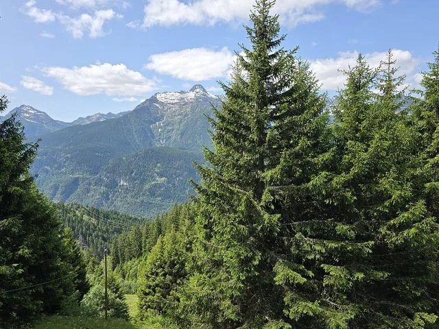 Bel chalet di 3,5 loc. immerso nella natura molto soleggiata, tranq... – photo 24 of 30
