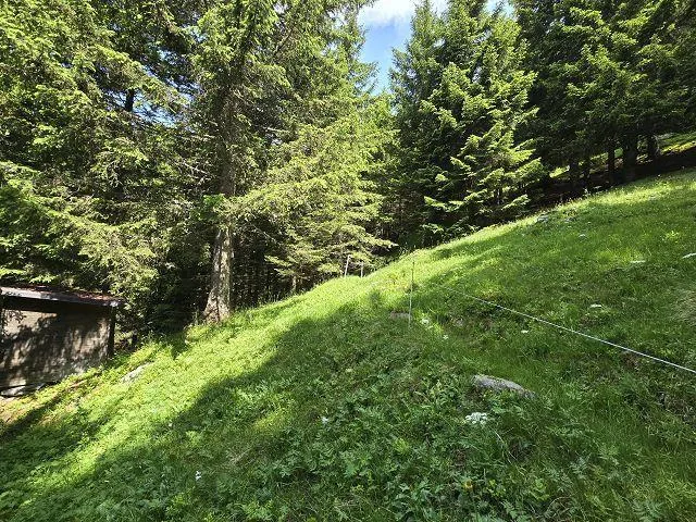 Bel chalet di 3,5 loc. immerso nella natura molto soleggiata, tranq... – photo 30 of 30