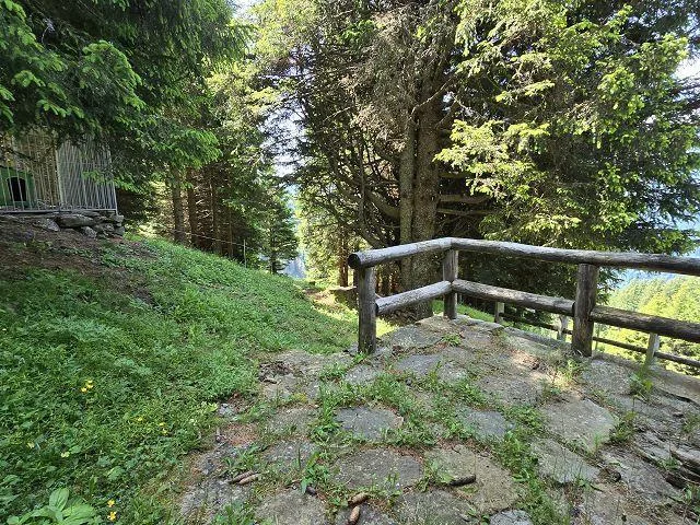 Bel chalet di 3,5 loc. immerso nella natura molto soleggiata, tranq... – photo 22 of 30