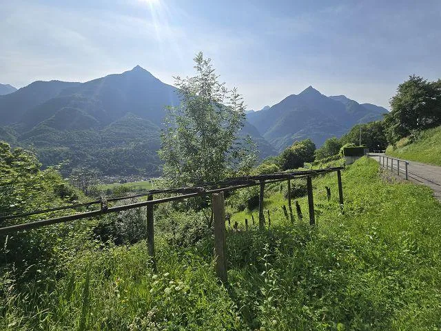 Stall zum Ausbauen und erweitern, ruhige, sonnige Lage /Stalla da r... – Foto 12 von 22