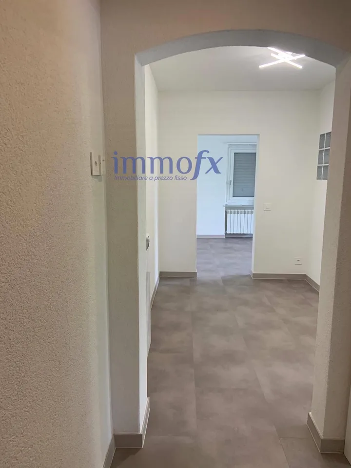 Appartamento - Massagno