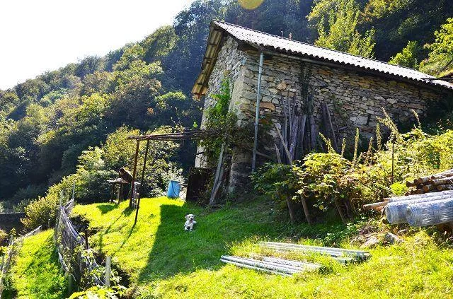 zwei Ställe zum Ausbauen mit Rebberg und viel Land / Cascina di 2 l... – photo 22 sur 30